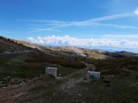 La Montagne de Lure, au fonds Les Alpes .jpg