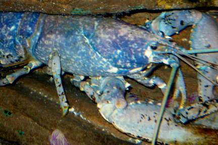 P1010267