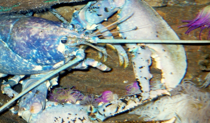 P1010268