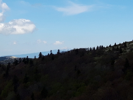Au milieu Le Ventoux